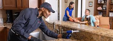 Best Commercial Pest Control  in Griggsvle, IL